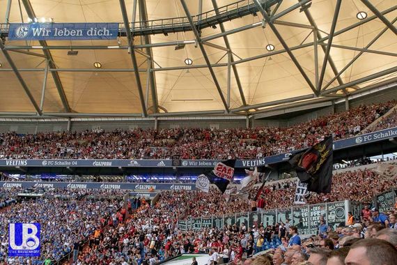 FC Schalke 04 vs Eintracht Frankfurt (1-0) (2)