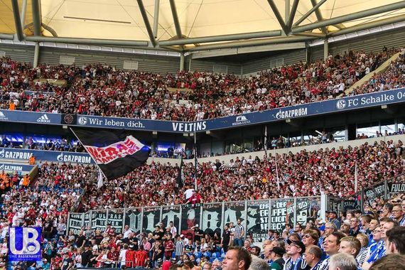 FC Schalke 04 vs Eintracht Frankfurt (1-0) (8)