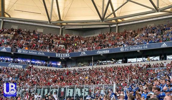 FC Schalke 04 vs Eintracht Frankfurt (1-0) (11)