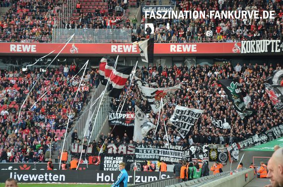 1. FC Köln vs Eintracht Frankfurt (0-1) (15)