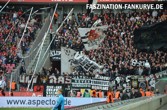 1. FC Köln vs Eintracht Frankfurt (0-1) (16)