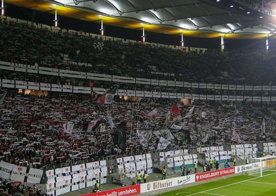 Eintracht Frankfurt vs 1. FSV Mainz 05 (3-0) (19)