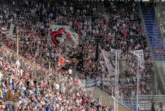 TSG Hoffenheim vs Eintracht Frankfurt (1-2) (2)