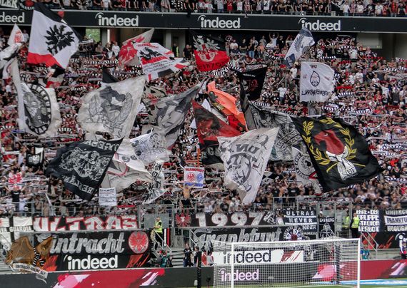 Eintracht Frankfurt vs TSG Hoffenheim (1-0) (7)