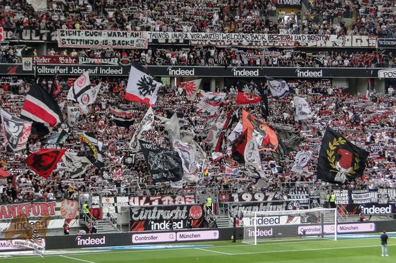 Eintracht Frankfurt vs TSG Hoffenheim (1-0) (8)