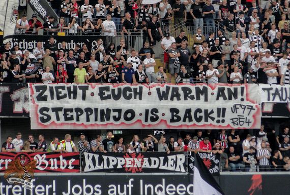 Eintracht Frankfurt vs TSG Hoffenheim (1-0) (10)