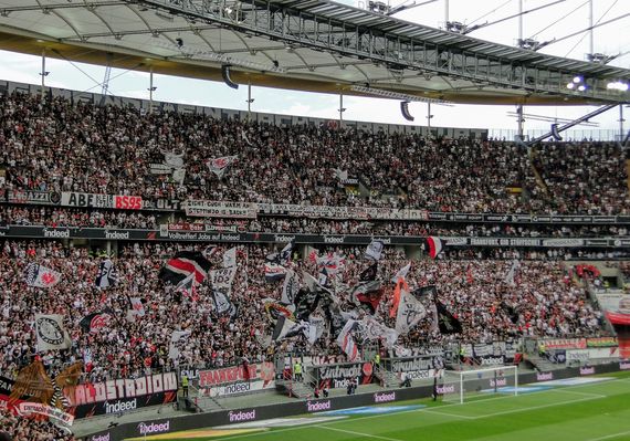 Eintracht Frankfurt vs TSG Hoffenheim (1-0) (15)