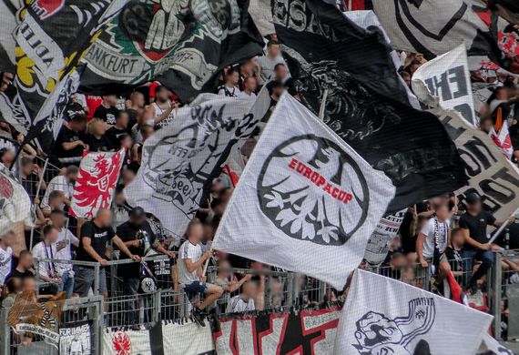 Eintracht Frankfurt vs TSG Hoffenheim (1-0) (16)
