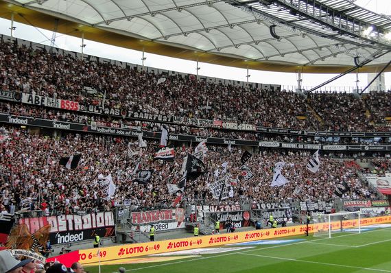 Eintracht Frankfurt vs TSG Hoffenheim (1-0) (27)