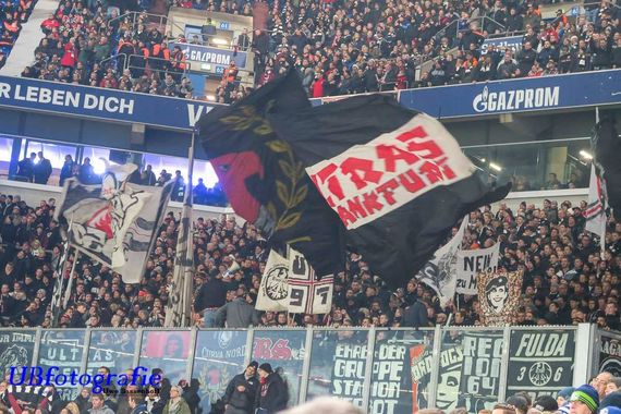 FC Schalke 04 vs Eintracht Frankfurt (1-0) (1)
