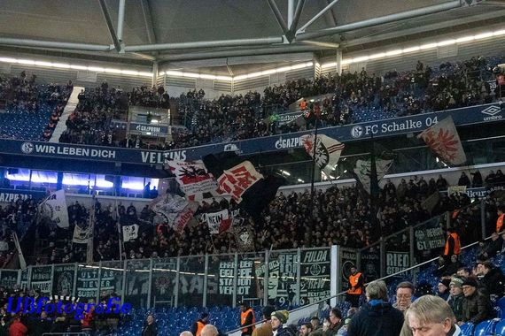 FC Schalke 04 vs Eintracht Frankfurt (1-0) (7)