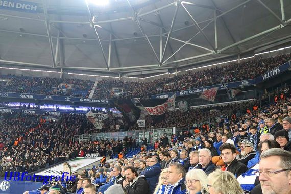 FC Schalke 04 vs Eintracht Frankfurt (1-0) (8)