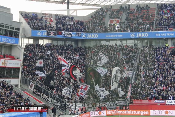 Bayer 04 Leverkusen vs Eintracht Frankfurt (4-0) (8)