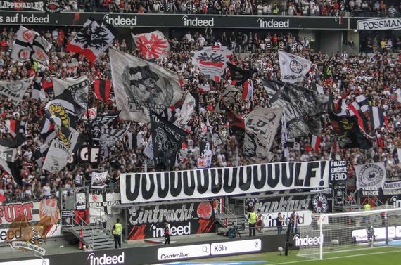 Eintracht Frankfurt vs Fortuna Düsseldorf (2-1) (15)