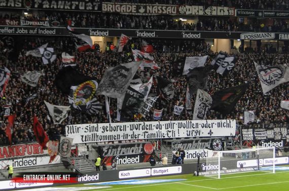 Eintracht Frankfurt vs Bayer 04 Leverkusen (3-0) (8)