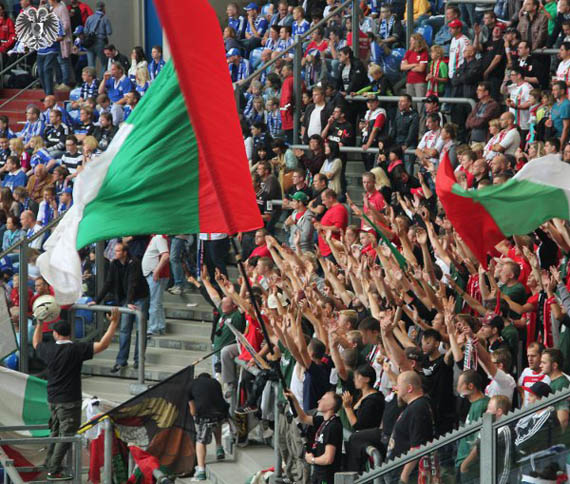 FC Schalke 04 vs FC Augsburg (3-1) (4)