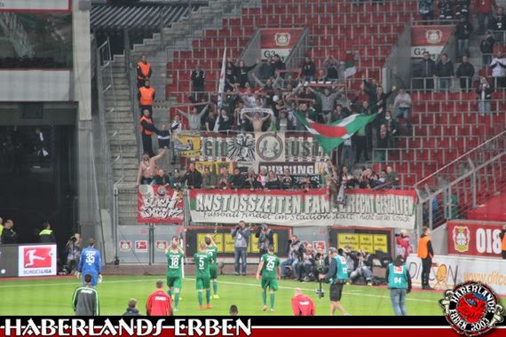 Bayer 04 Leverkusen vs FC Augsburg (1-0) (3)