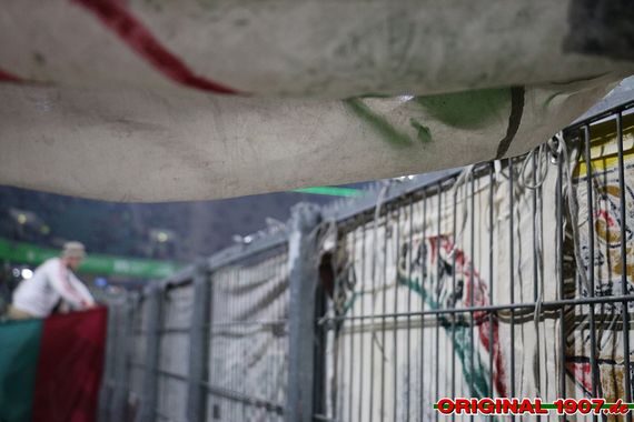 VfL Wolfsburg vs FC Augsburg (0-0) (4)