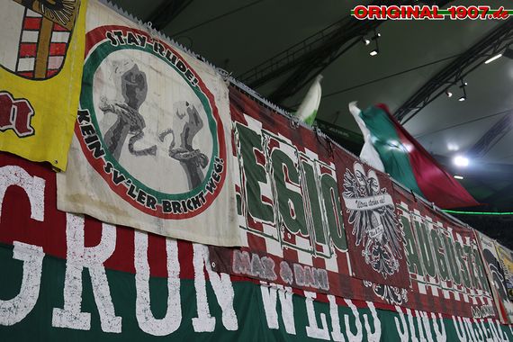 VfL Wolfsburg vs FC Augsburg (0-0) (9)