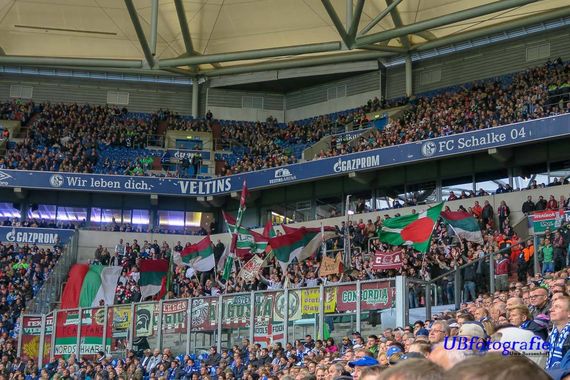 FC Schalke 04 vs FC Augsburg (0-0) (5)