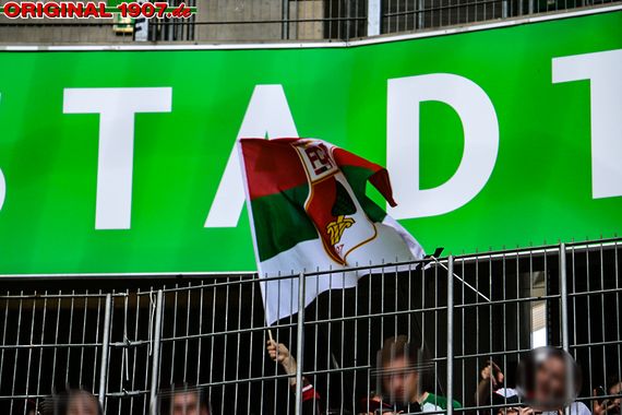 VfL Wolfsburg vs FC Augsburg (8-1) (14)