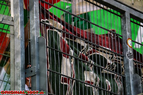 VfL Wolfsburg vs FC Augsburg (8-1) (16)