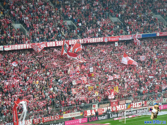 FC Bayern München vs VfL Bochum (3-1) (4)