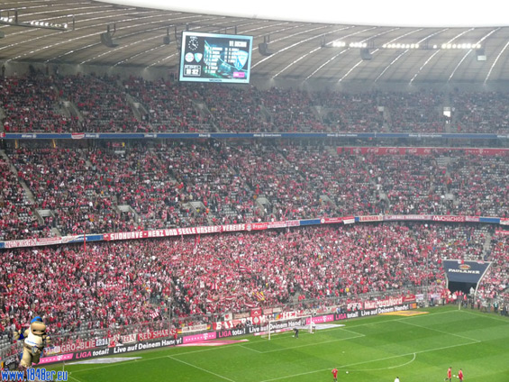 FC Bayern München vs VfL Bochum (3-1) (5)