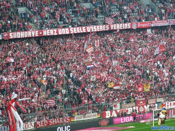 FC Bayern München vs VfL Bochum (3-1) (7)