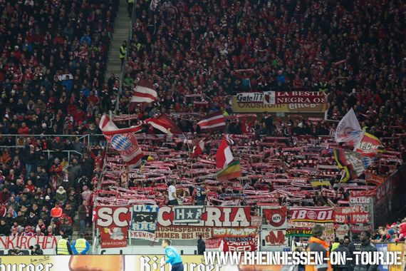 1. FSV Mainz 05 vs FC Bayern München (1-2) (5)