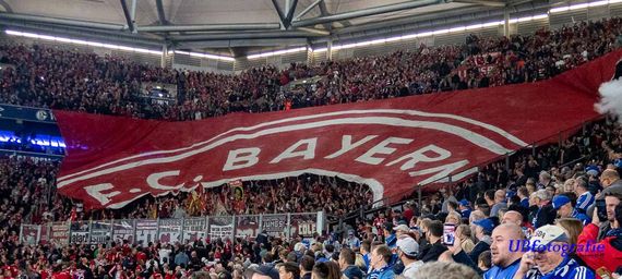 FC Schalke 04 vs FC Bayern München (0-2) (10)