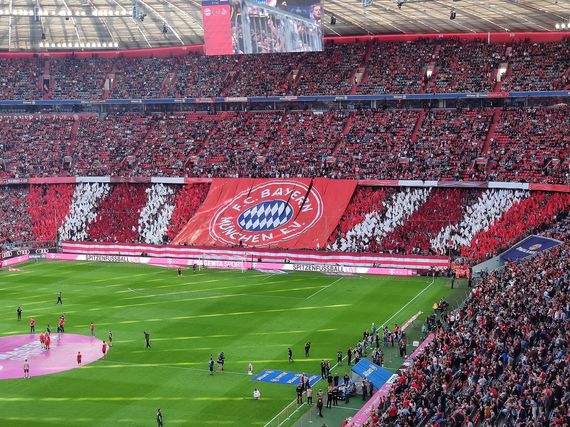 FC Bayern München vs 1. FC Köln (4-0) (4)