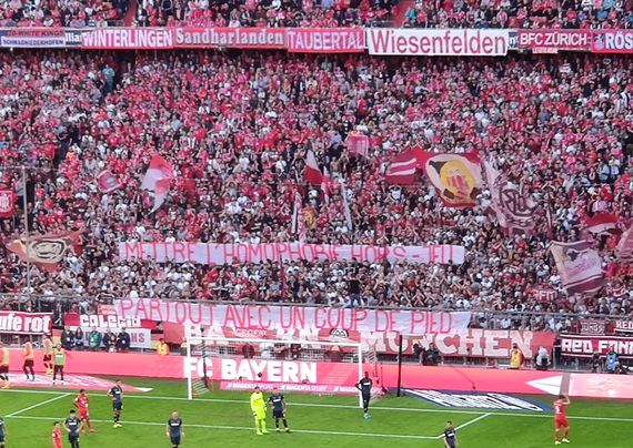 FC Bayern München vs 1. FC Köln (4-0) (14)