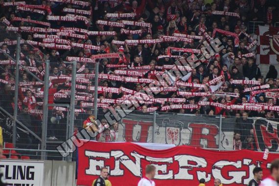 Hallescher FC vs FC Energie Cottbus (3-1) (2)