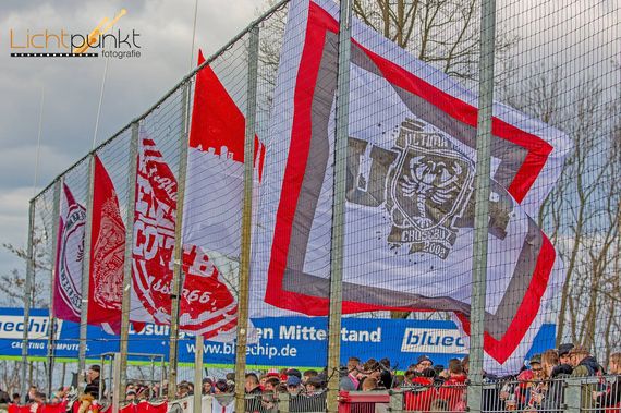ZFC Meuselwitz vs FC Energie Cottbus (1-2) (10)