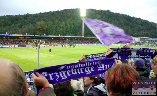 FC Erzgebirge Aue vs Werder Bremen (1-2) (2)