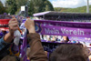 FC Erzgebirge Aue vs MSV Duisburg (1-2)