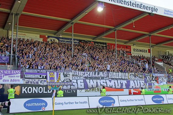1. FC Heidenheim 1846 vs FC Erzgebirge Aue (1-0) (24)