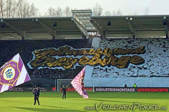 FC Erzgebirge Aue vs SpVgg Fürth (3-1) (15)