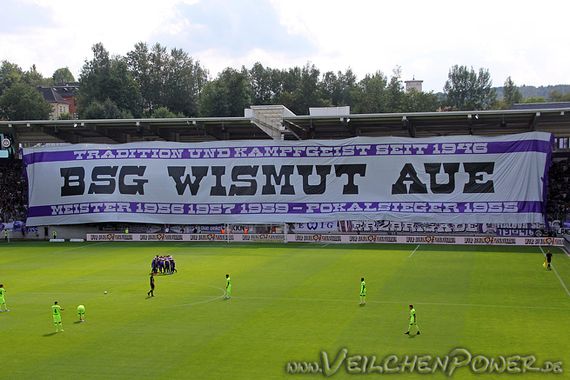 FC Erzgebirge Aue vs SV Wehen Wiesbaden (3-2) (22)