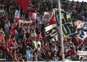 FC Ingolstadt 04 vs 1. FC Köln (1-1)