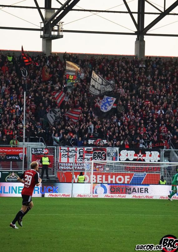 FC Ingolstadt 04 vs TSG Hoffenheim (1-1) (9)