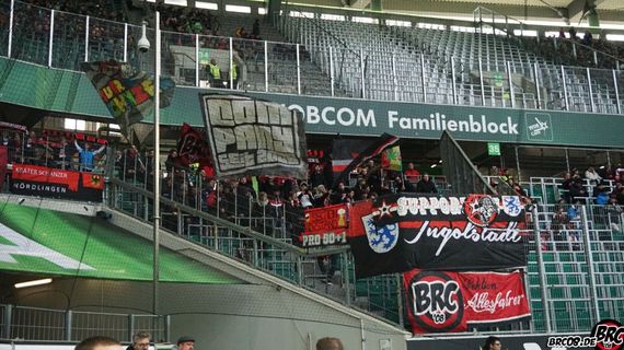 VfL Wolfsburg vs FC Ingolstadt 04 (2-0) (2)