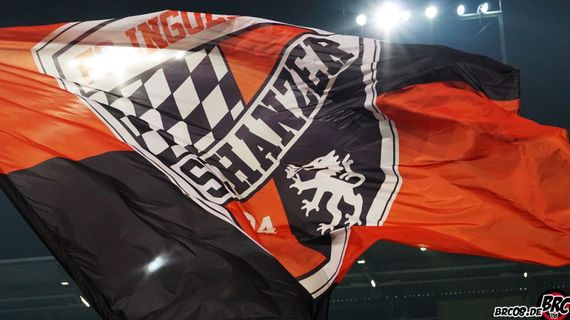 FC Ingolstadt 04 vs 1. FC Köln (1-1) (8)