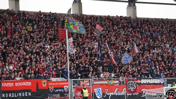 FC Ingolstadt 04 vs FC Schalke 04 (3-0) (2)