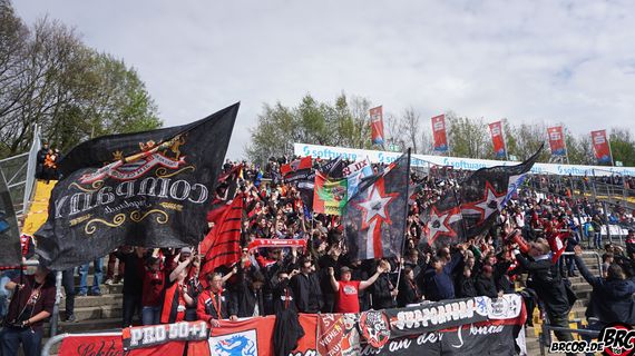 SV Darmstadt 98 vs FC Ingolstadt 04 (2-0) (3)