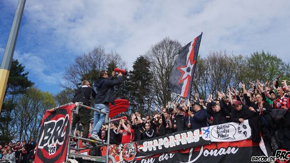 SV Darmstadt 98 vs FC Ingolstadt 04 (2-0) (8)