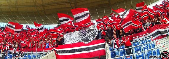 TSG Hoffenheim vs FC Ingolstadt 04 (2-1) (10)