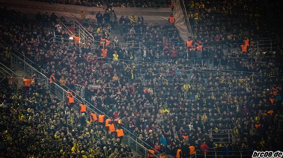 Borussia Dortmund vs FC Ingolstadt 04 (1-0) (5)