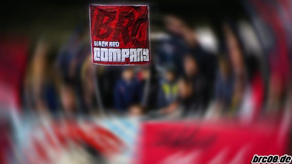 VfL Wolfsburg vs FC Ingolstadt 04 (3-0) (6)